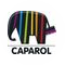 Caparol, Группа компаний