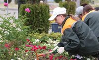 Минтруд разъяснил, сколько часов в день могут работать несовершеннолетние.